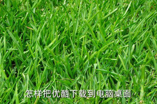怎样把优酷下载到电脑桌面