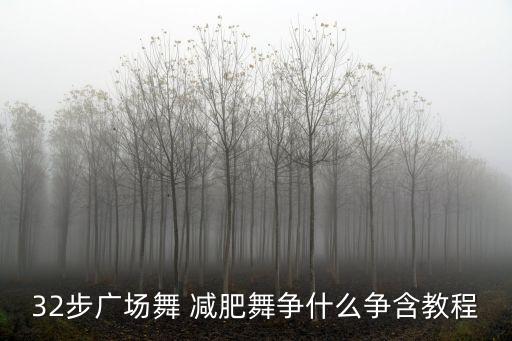 武阿哥广场舞你争什么争mp3，什么争姸