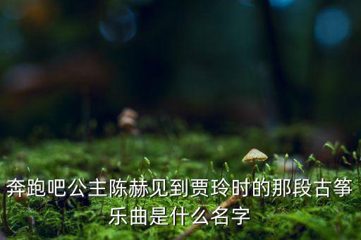 奔跑吧公主陈赫见到贾玲时的那段古筝乐曲是什么名字