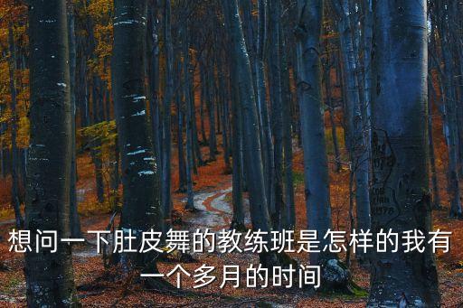 想问一下肚皮舞的教练班是怎样的我有一个多月的时间