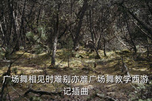 广场舞相见时难别亦难广场舞教学西游记插曲