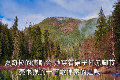 夏奇拉的演唱会 她穿着裙子打赤脚节奏很强的一首歌伴奏的是鼓