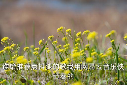 谁给推荐点抖腿的歌我用网易云音乐快节奏的