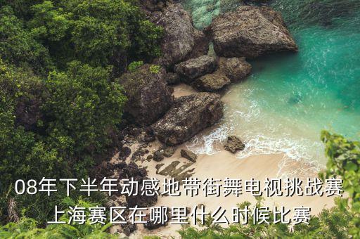 08年下半年动感地带街舞电视挑战赛上海赛区在哪里什么时候比赛