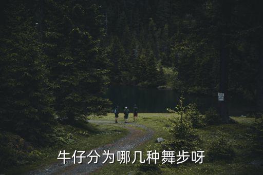 牛仔分为哪几种舞步呀