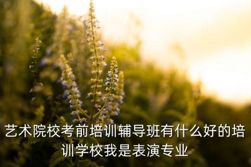 艺术院校考前培训辅导班有什么好的培训学校我是表演专业