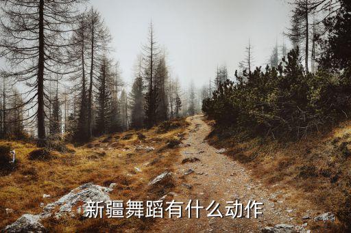 新疆舞蹈有什么动作