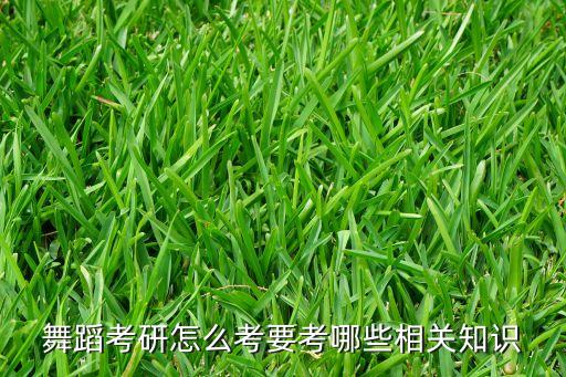 舞蹈考研怎么考要考哪些相关知识