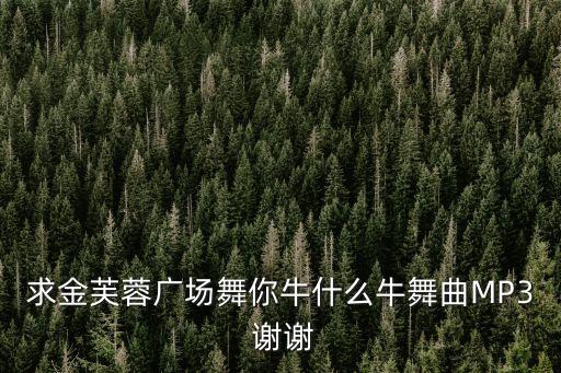 求金芙蓉广场舞你牛什么牛舞曲MP3 谢谢