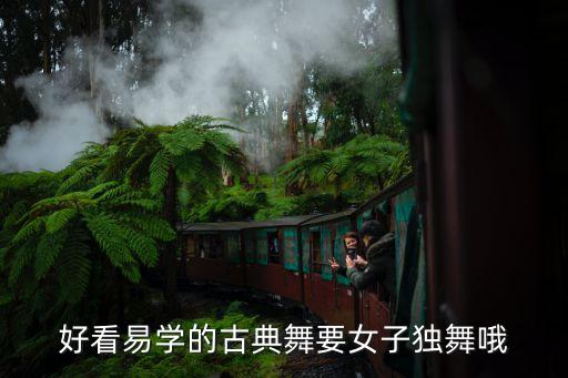 好看易学的古典舞要女子独舞哦