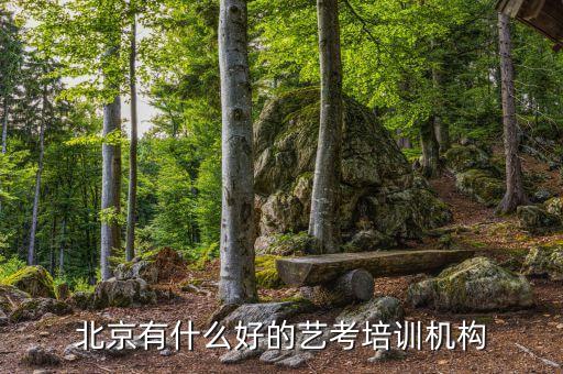 北京嘉圣传媒艺考机构，北京艺考培训哪个地方最好