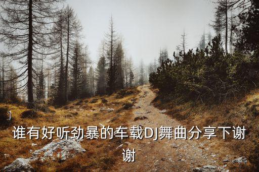 2023劲爆dj车载歌曲，谁有好听劲暴的车载DJ舞曲分享下谢谢