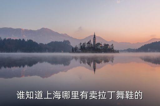 谁知道上海哪里有卖拉丁舞鞋的