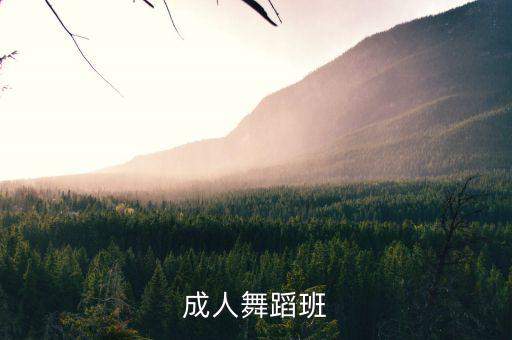 成人舞蹈班