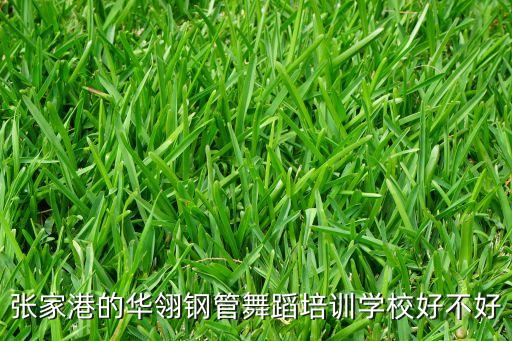 南通华翎舞蹈培训如何，南通那里可以学钢管舞那里可以学职业领舞DS那里可以学爵士