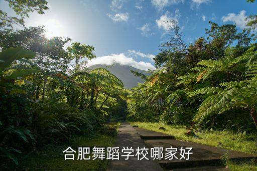 合肥舞蹈学校哪家好