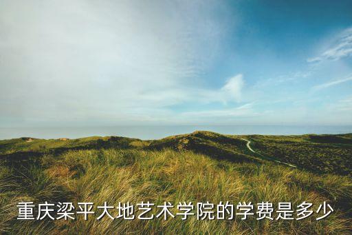 重庆梁平大地艺术学院的学费是多少