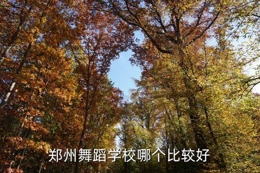 舞蹈学院有哪些学校郑州，郑州比较有名的舞蹈学校是哪家呢
