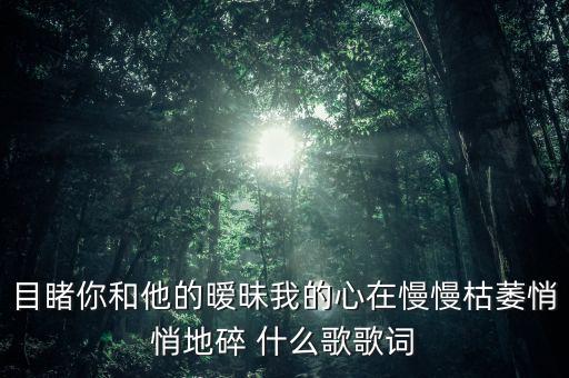 目睹你和他的暧昧我的心在慢慢枯萎悄悄地碎 什么歌歌词