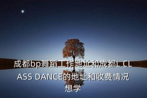 成都bp舞蹈工作地址和成都L CLASS DANCE的地址和收费情况想学