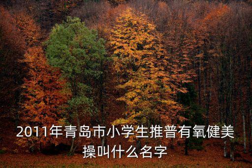 青岛健美操有哪些，2011年青岛市小学生推普有氧健美操叫什么名字
