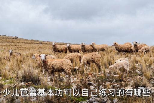 少儿芭蕾基本功可以自己练习的有哪些