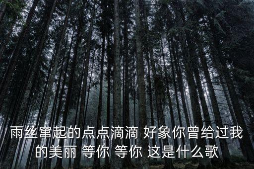 等你歌词，等你等你没有人知道我等的是你这首歌名叫什么