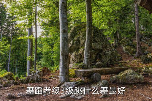 舞蹈考级3级跳什么舞最好