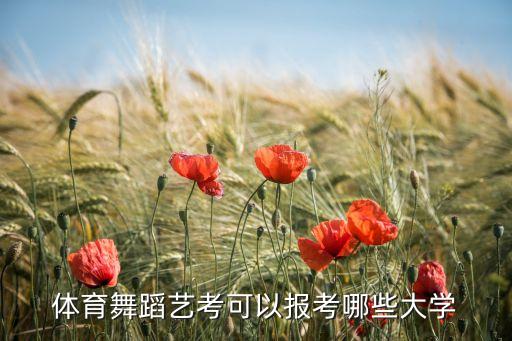 体育舞蹈艺考可以报考哪些大学