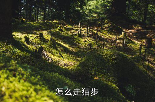 怎么走猫步