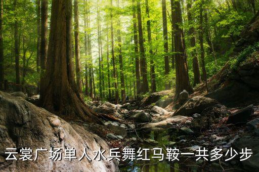 云裳广场舞视频大全集，云裳广场舞 爱情这杯酒谁喝都得醉 正反面  专辑云裳广场舞阿