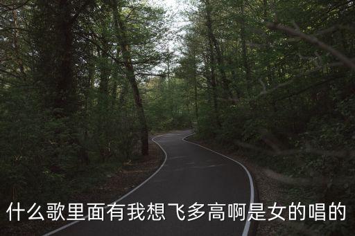 我要飞多高梦想蓝天什么歌曲，什么歌里面有我想飞多高啊是女的唱的