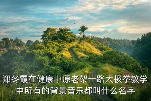 郑冬霞在健康中原老架一路太极拳教学中所有的背景音乐都叫什么名字