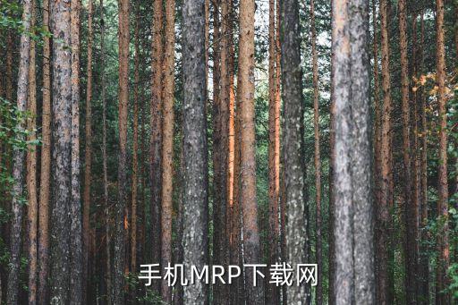手机MRP下载网