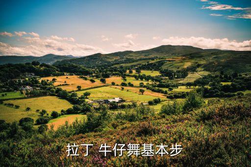 拉丁 牛仔舞基本步