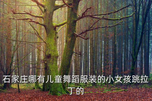 石家庄哪有儿童舞蹈服装的小女孩跳拉丁的