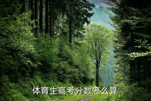 体育生高考分数怎么算