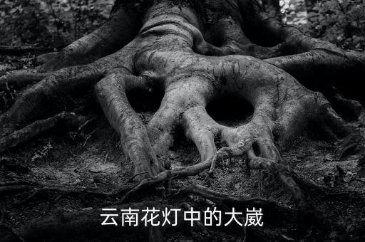 云南花灯中的大崴