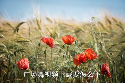 广场舞视频下载要怎么下