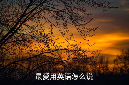 最爱用英语怎么说