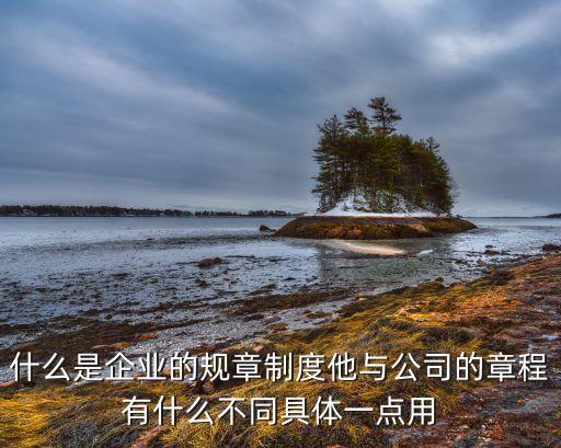 培训机构章程和管理制度的区别，中学学生会章程和管理制度有什么区别