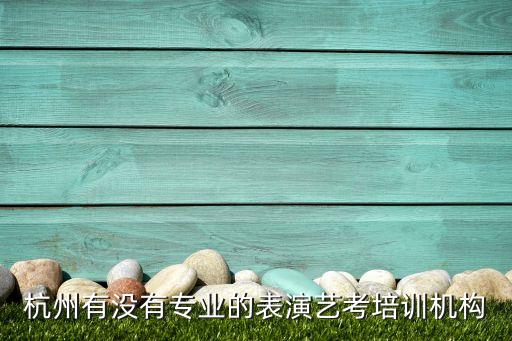 杭州有没有专业的表演艺考培训机构