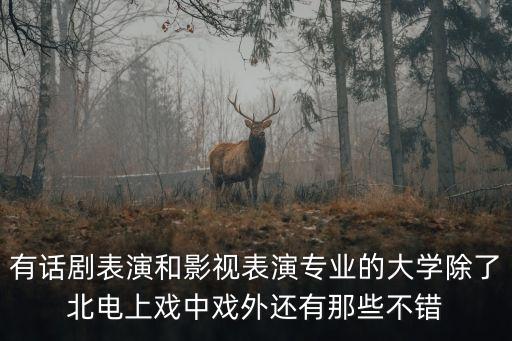 有话剧表演和影视表演专业的大学除了北电上戏中戏外还有那些不错
