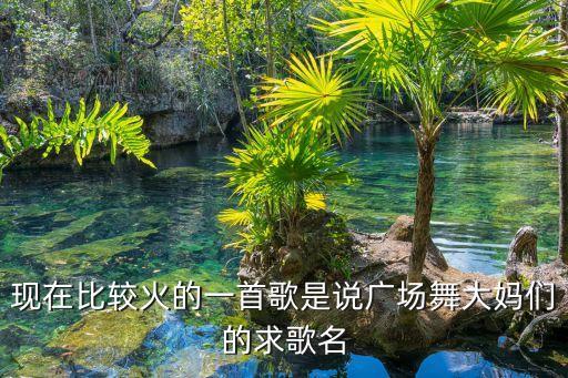 现在比较火的一首歌是说广场舞大妈们的求歌名