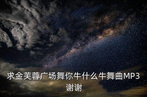 求金芙蓉广场舞你牛什么牛舞曲MP3 谢谢