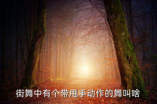 街舞中有个带甩手动作的舞叫啥