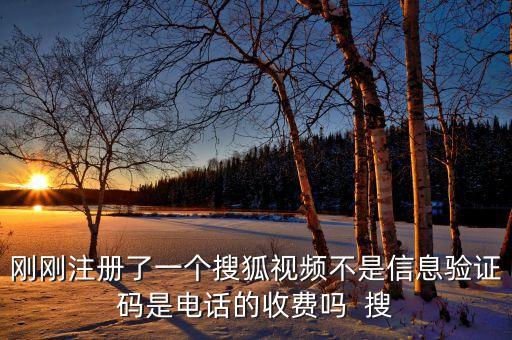 搜狐视频新用户，怎样注册搜狐帐号