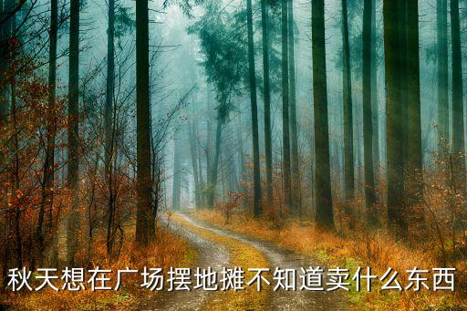 秋天想在广场摆地摊不知道卖什么东西