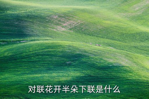 对联花开半朵下联是什么