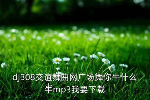 你牛什么牛鬼步舞之广场舞，广场舞你牛甚么牛mp3